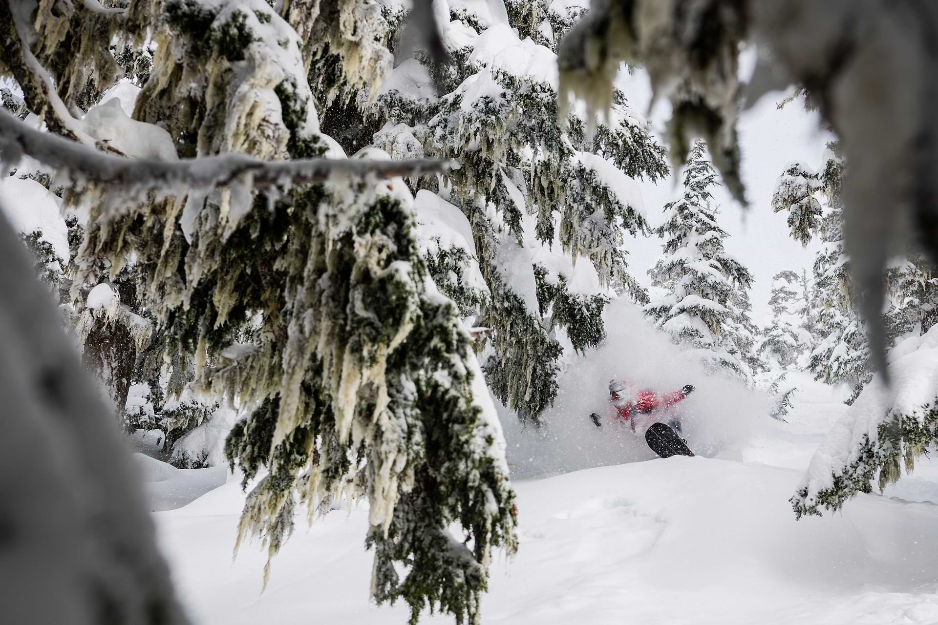 Shames Mountain, Canada