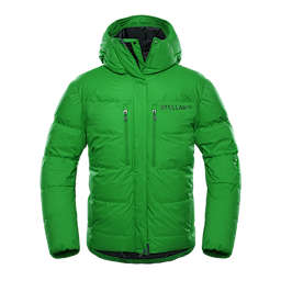 Guide Expedition Down Parka Green