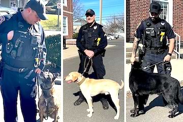 K9 Unit's dogs have their day to support fundraiser Westport Journal