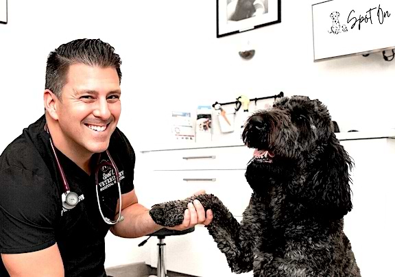 pet depot market street animal hospital Spot On Vet,' a full-service animal care center, opens Westport