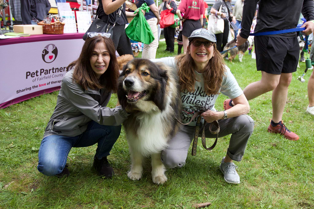 Westport Dog Festival bow-wows them all Westport Journal