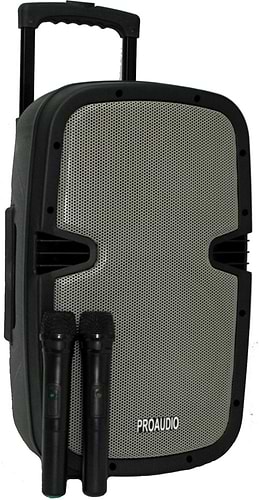 בידורית STAR VOICE 110
