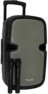 בידורית STAR VOICE 110