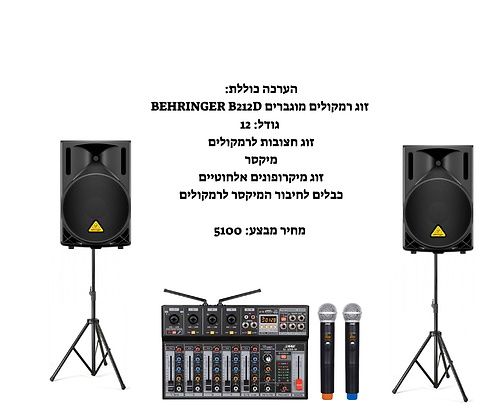 מבצע מטורף - מערכת הגברה מקצועית זוג 12