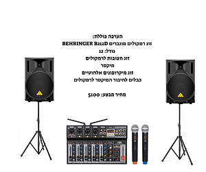 מבצע מטורף - מערכת הגברה מקצועית זוג 12