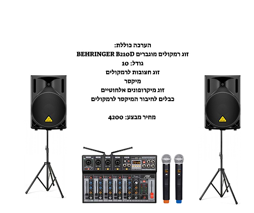 מבצע מטורף - מערכת הגברה מקצועית זוג 10