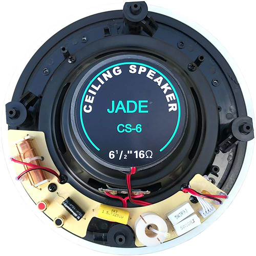 CST-6 רמקול קיר/תקרה שקוע עגול עם שנאי קו 