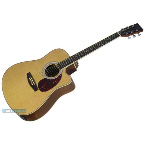 AG450C גיטרה אקוסטית בגימור גלוס טבעי מבית Walden