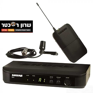 מיק
