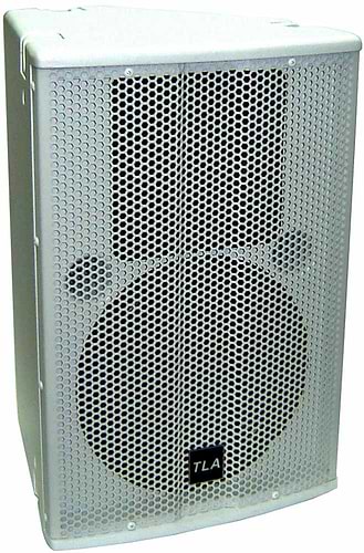 CS-250 רמקול פאסיבי 10