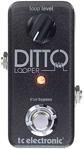 Ditto Looper לופר פשוט להפעלה אך מתוחכם בביצועים של TC Electronic