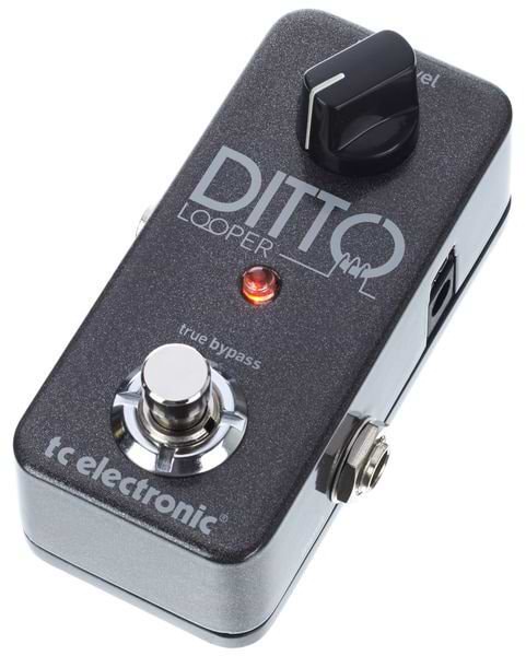 Ditto Looper לופר פשוט להפעלה אך מתוחכם בביצועים של TC Electronic