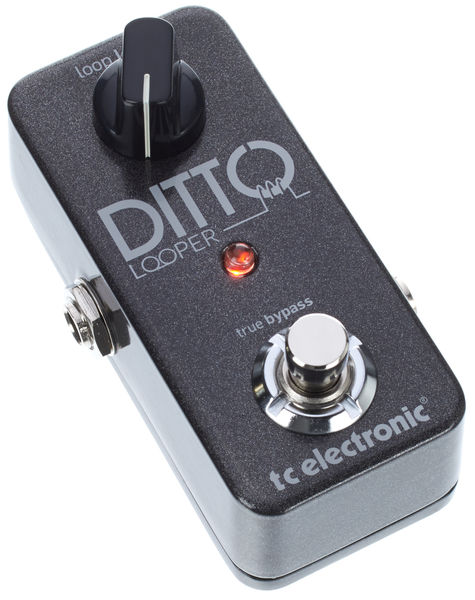 Ditto Looper לופר פשוט להפעלה אך מתוחכם בביצועים של TC Electronic