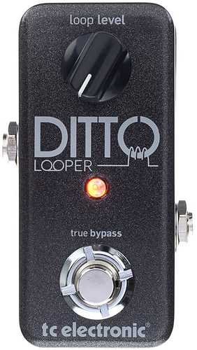 Ditto Looper לופר פשוט להפעלה אך מתוחכם בביצועים של TC Electronic