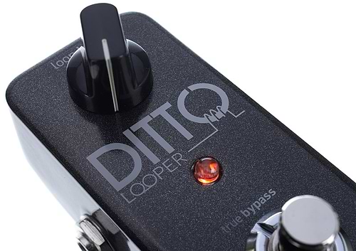 Ditto Looper לופר פשוט להפעלה אך מתוחכם בביצועים של TC Electronic
