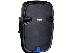 BTS DP 10 250W