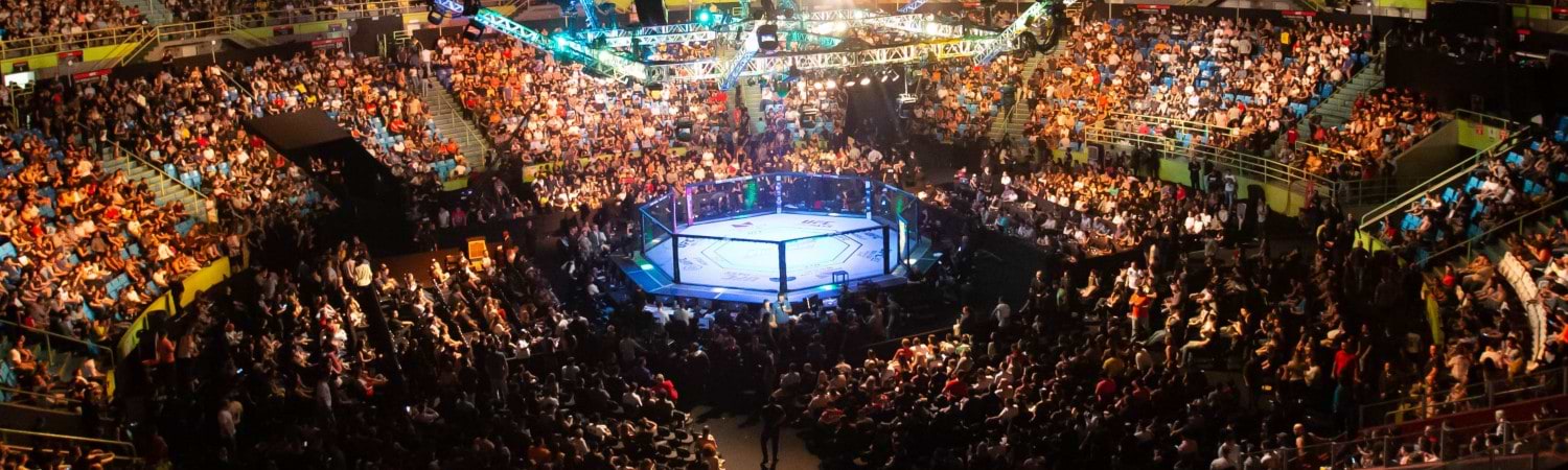 Lewis vs Teixeira 2025