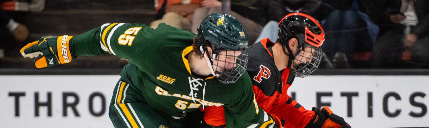 jugadores de hockey y la NHL