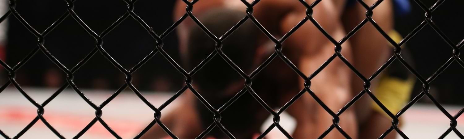 UFC previa brandon moreno