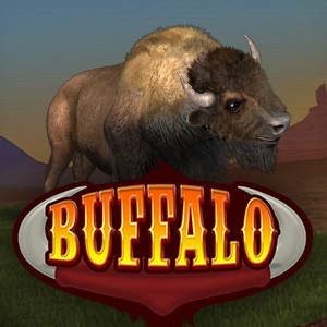 MGA Buffalo