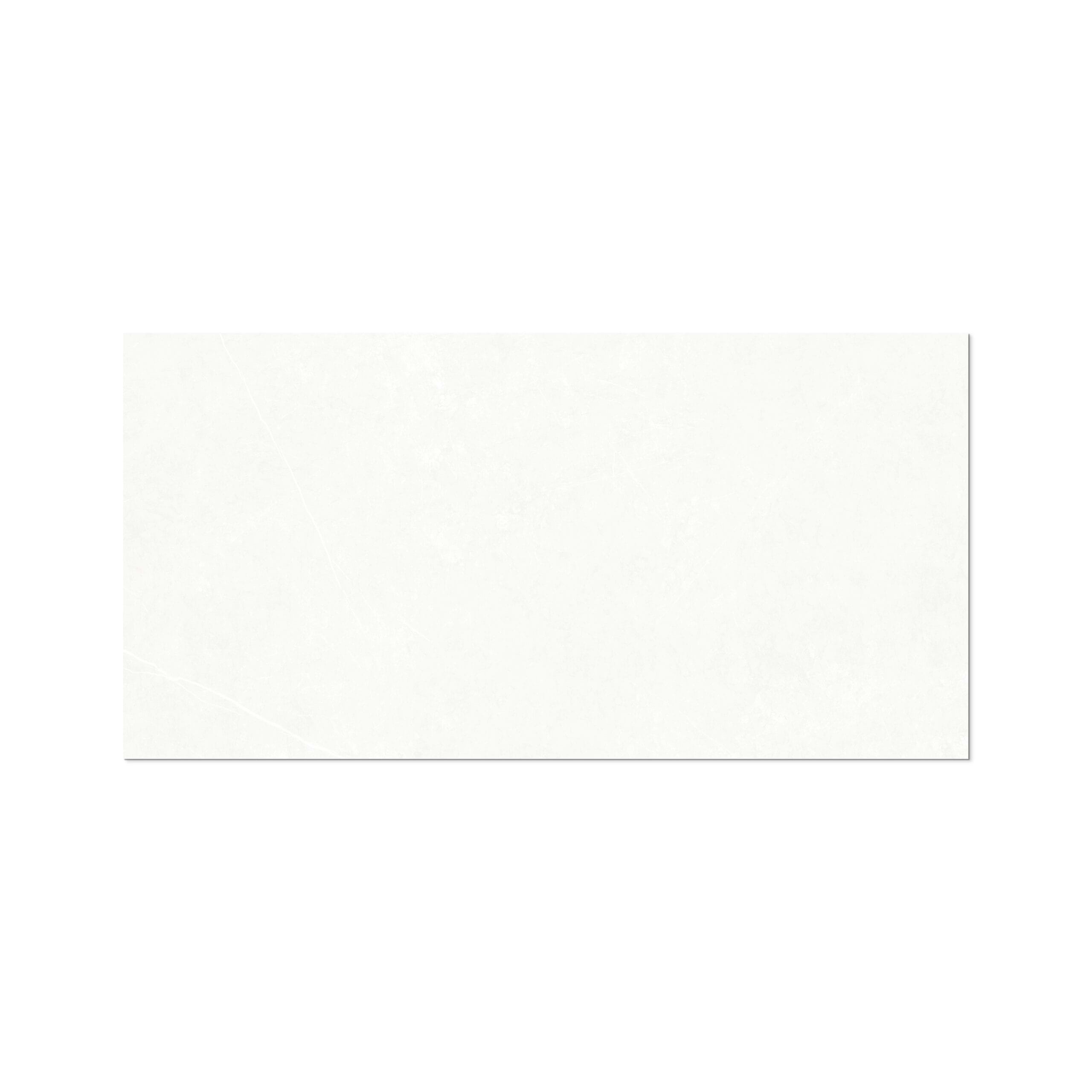 Alvi Blanco Matte 24x48 Porcelain Tile - iTileMosaic