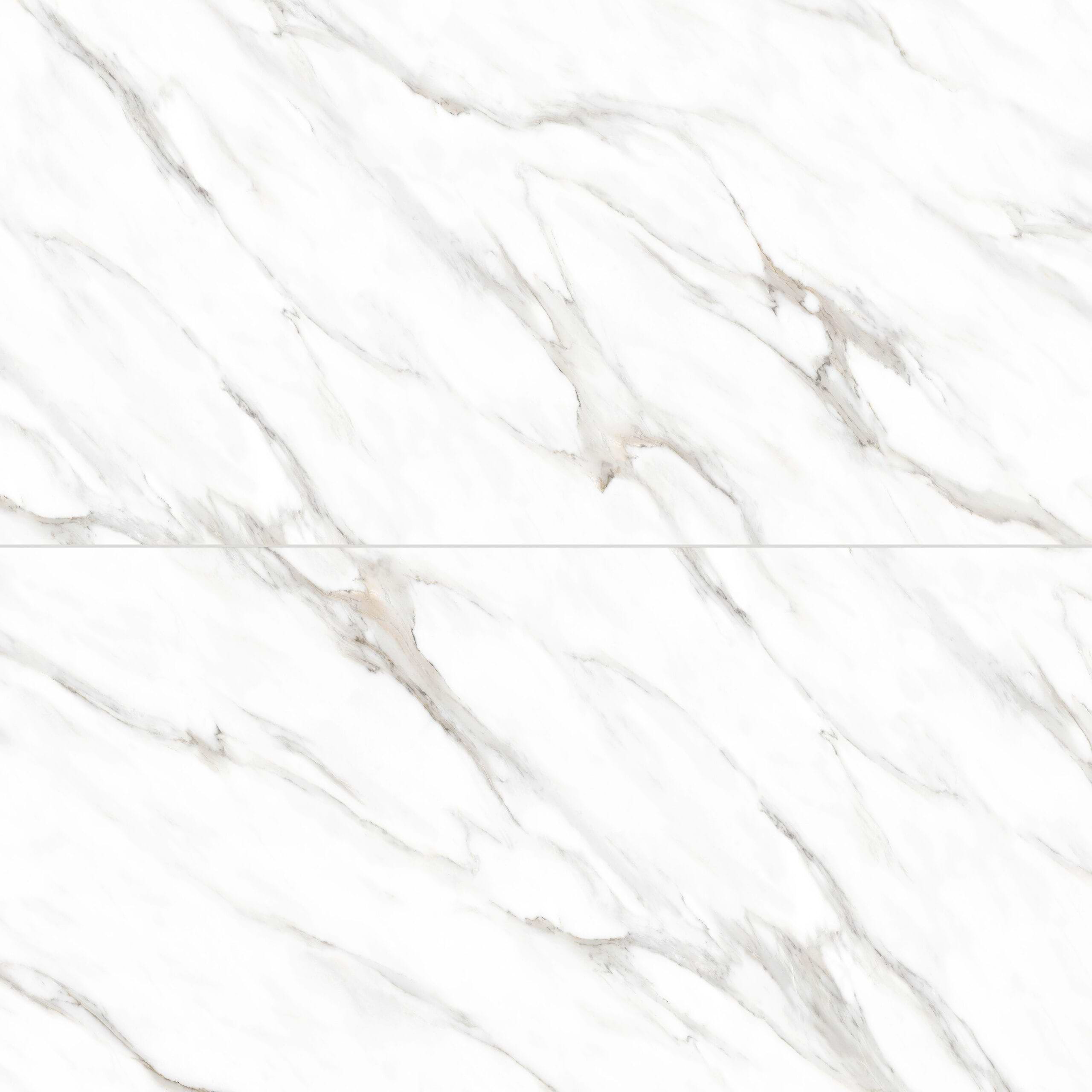 Marmo Calida 24x48 Matte Porcelain Tile