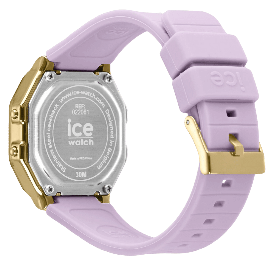 ICE 