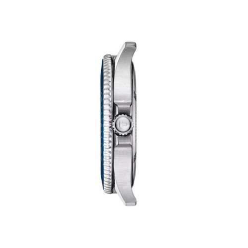 T1204101104100 