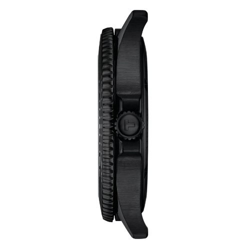 T1204103342100 