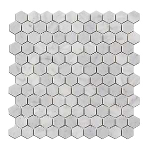 Carrara Mosaic Hexagon 1x1 Honed Marble