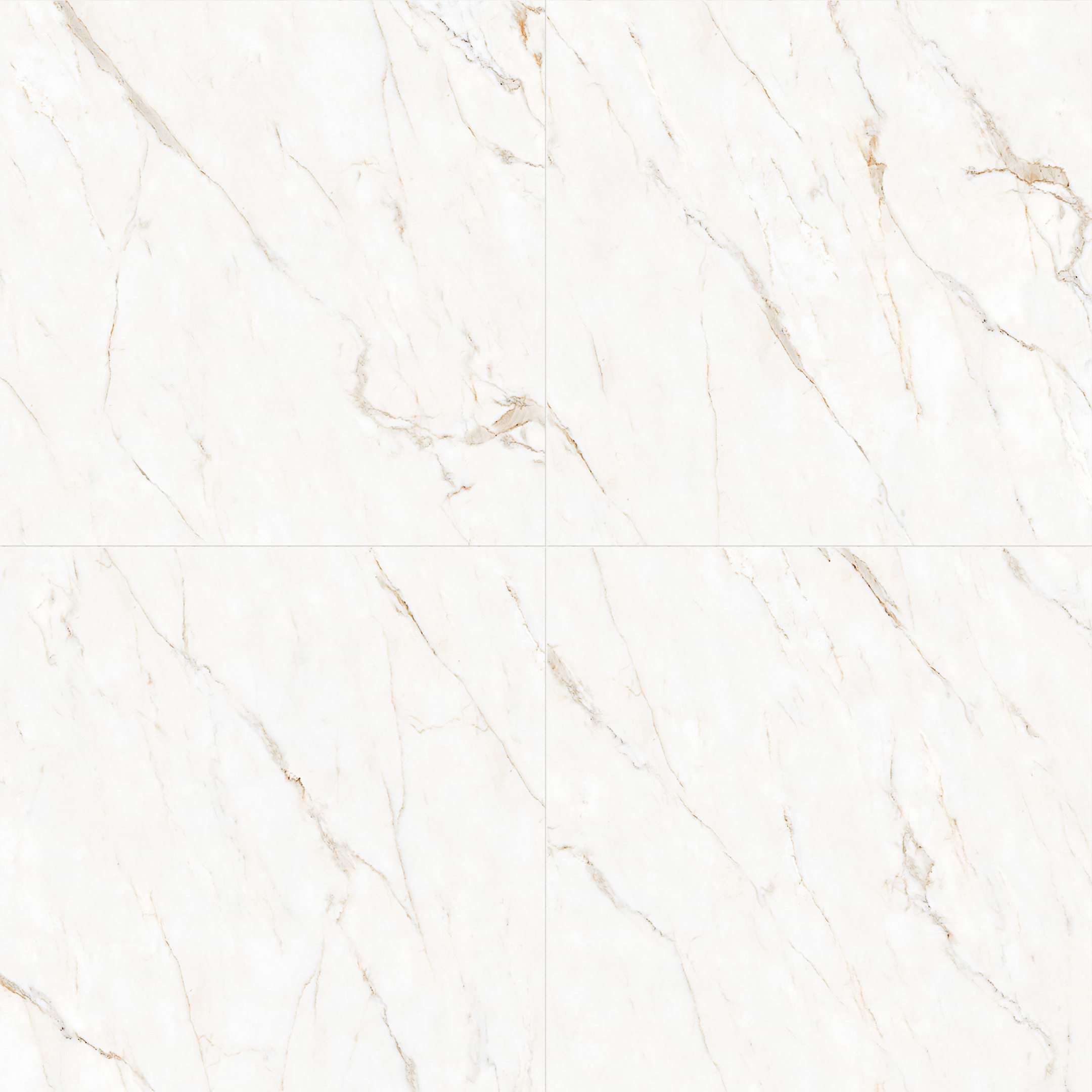 Calacatta Oro 48x48 Matte