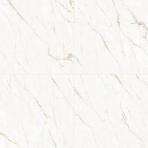 Calacatta Oro 48x48 Matte