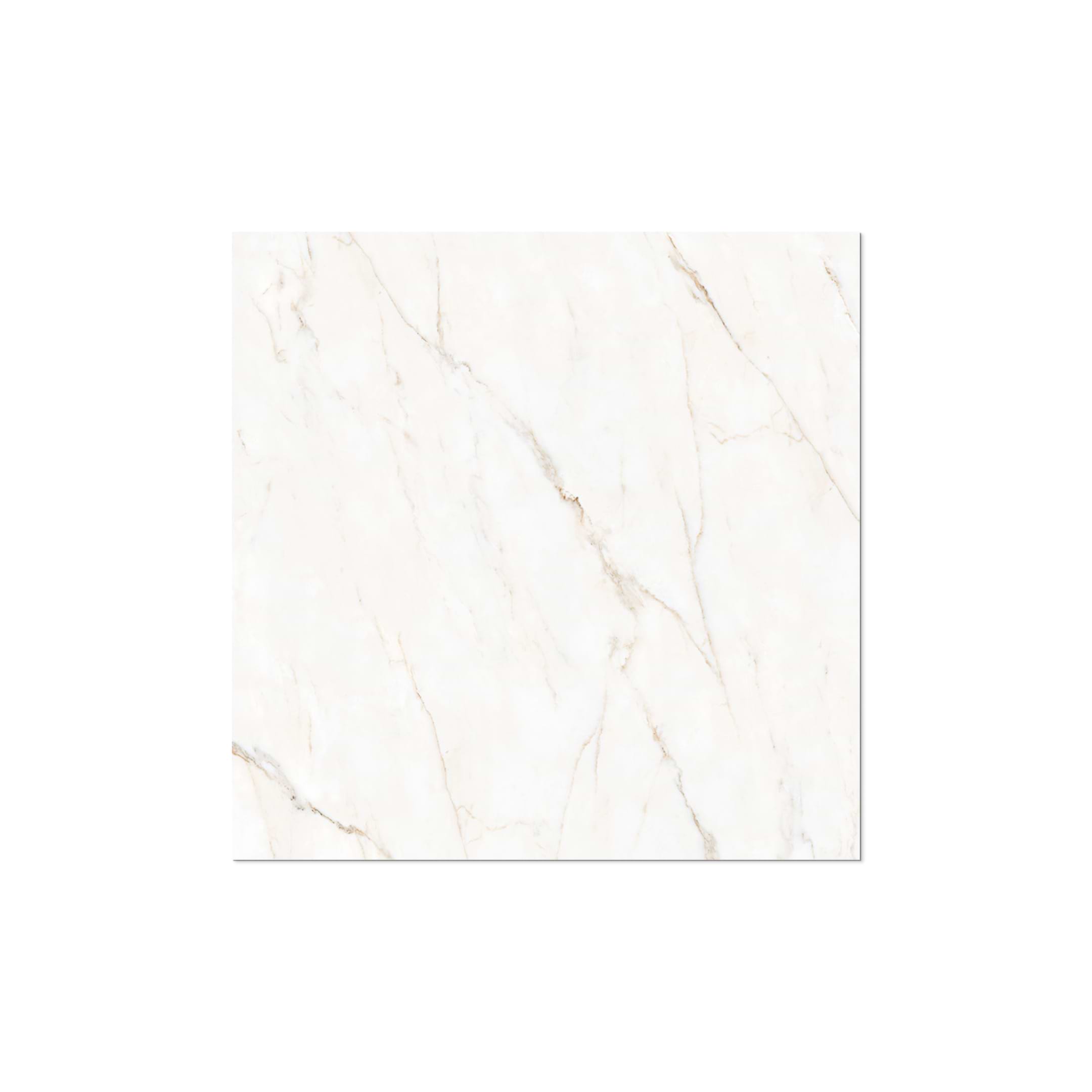 Calacatta Oro 48x48 Matte - Image 3