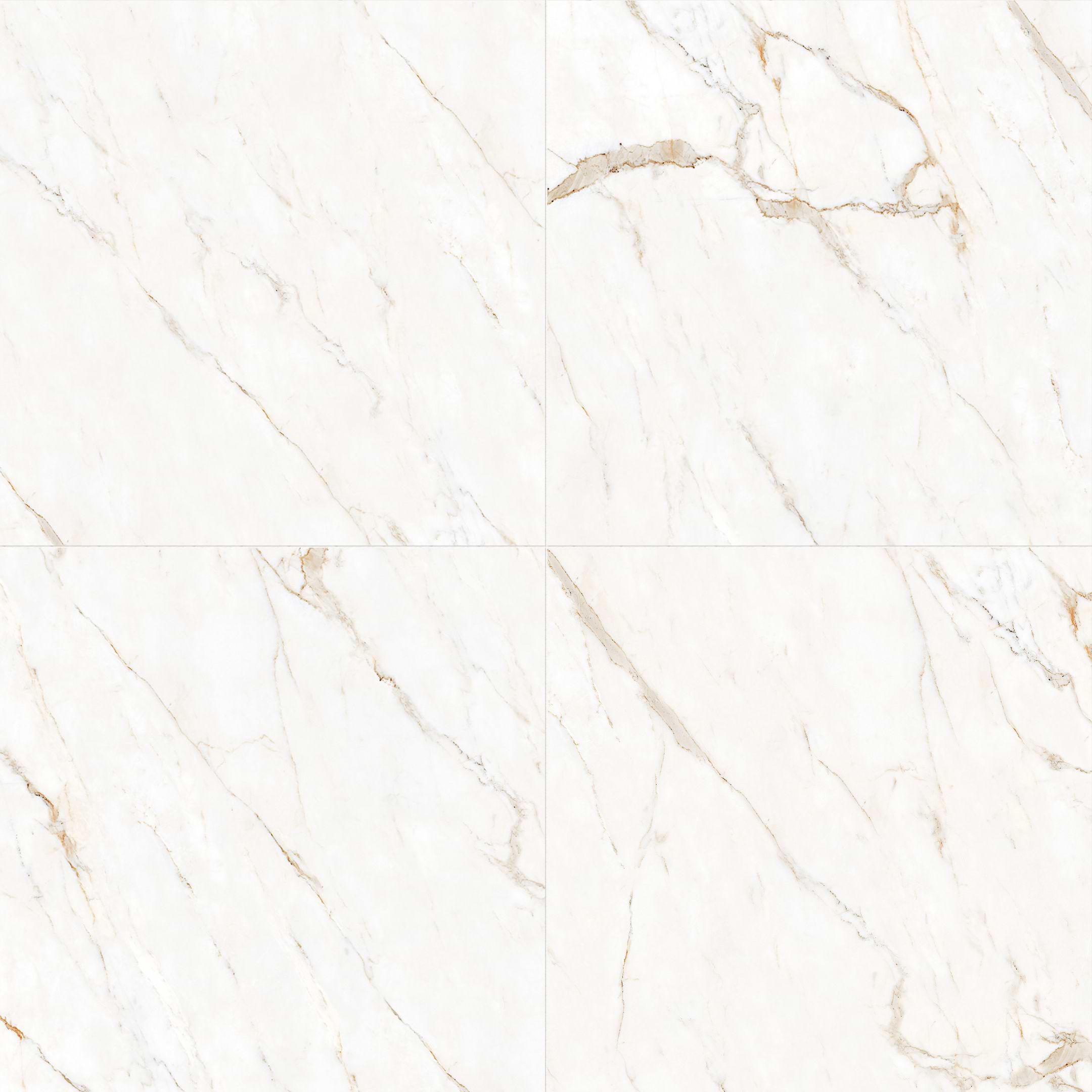 Callacatta Oro 48x48 Polished