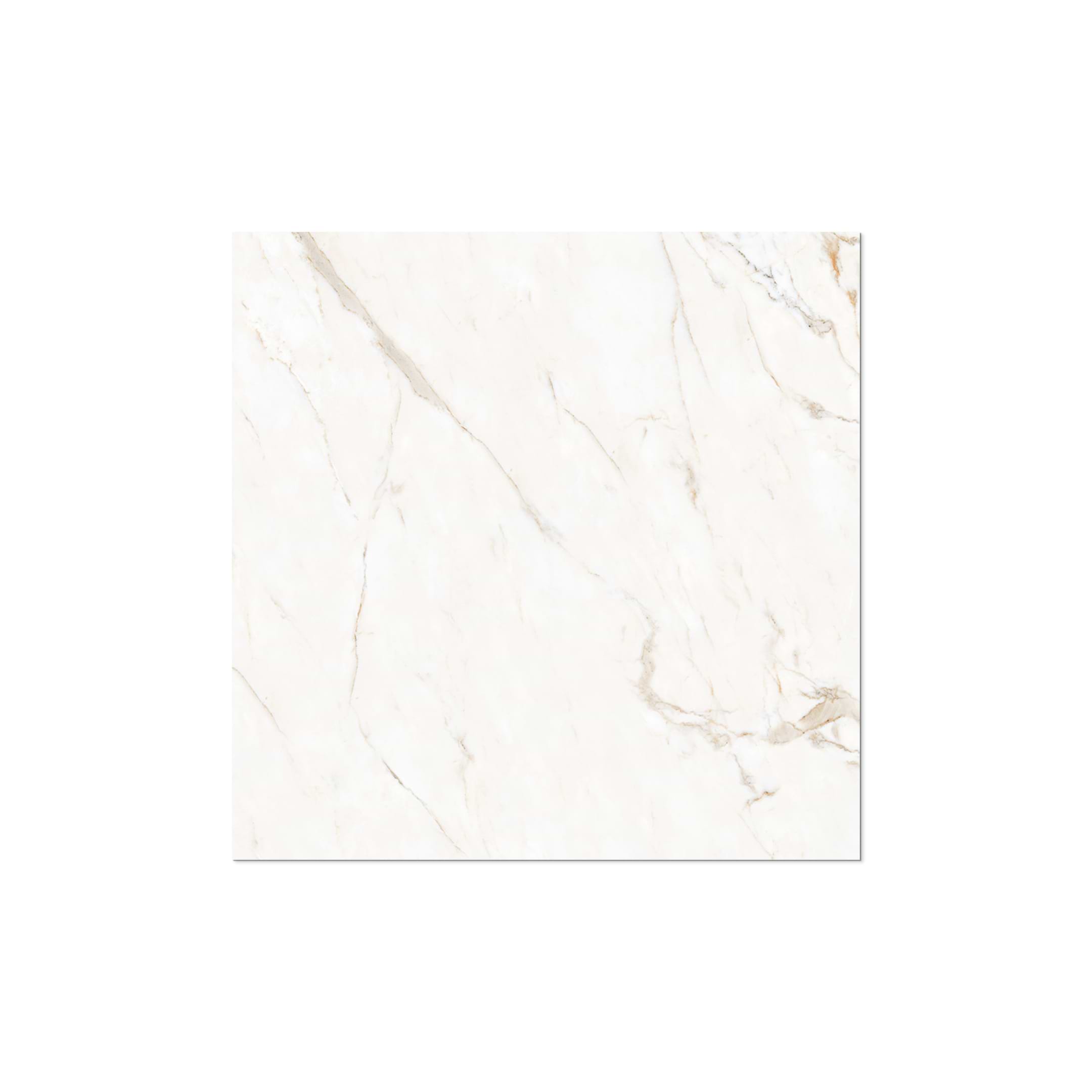 Callacatta Oro 48x48 Polished - Image 3