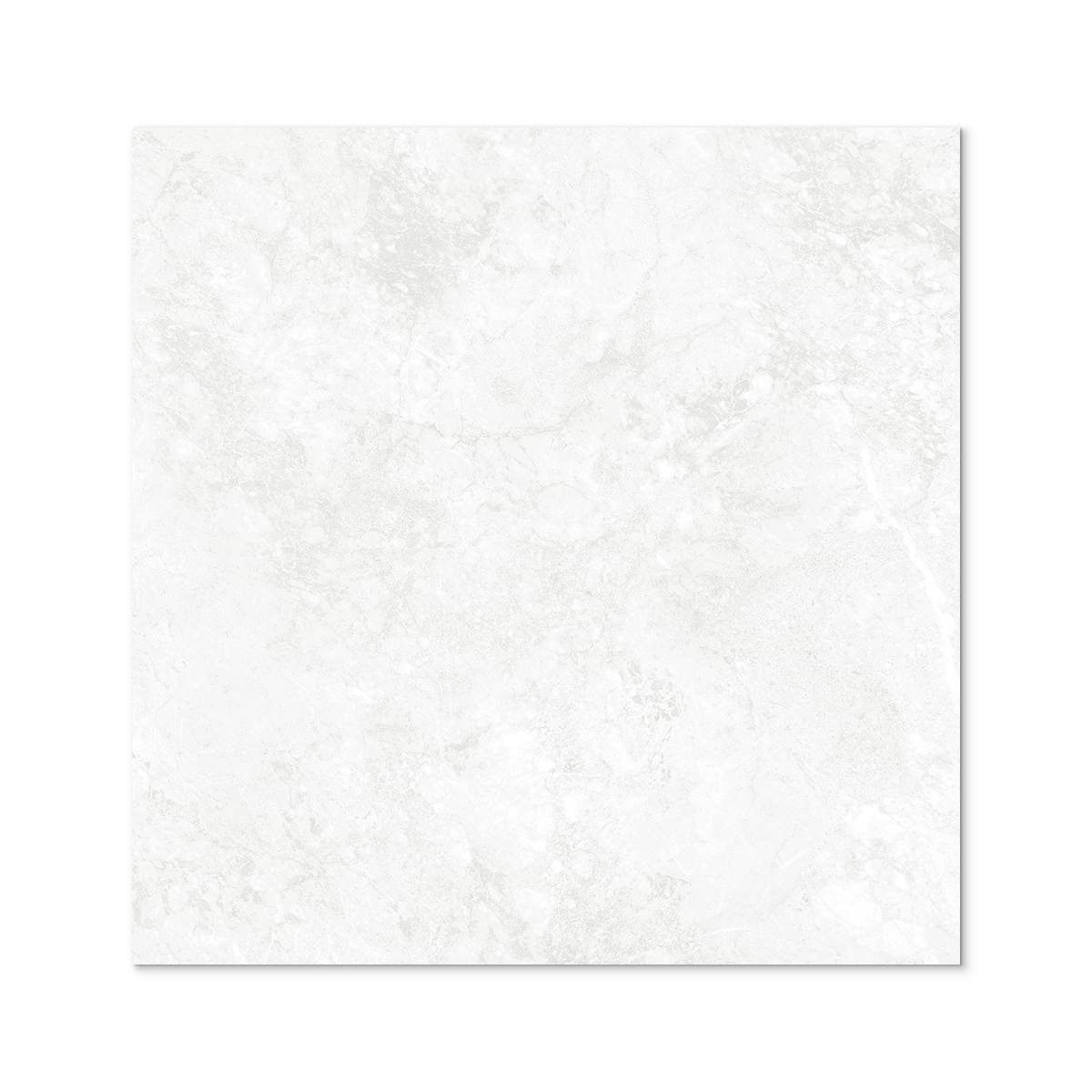 Montclaire Blanco 48x48 Polished - Image 3