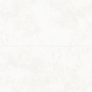 Puccini Blanco 24x48 Matte