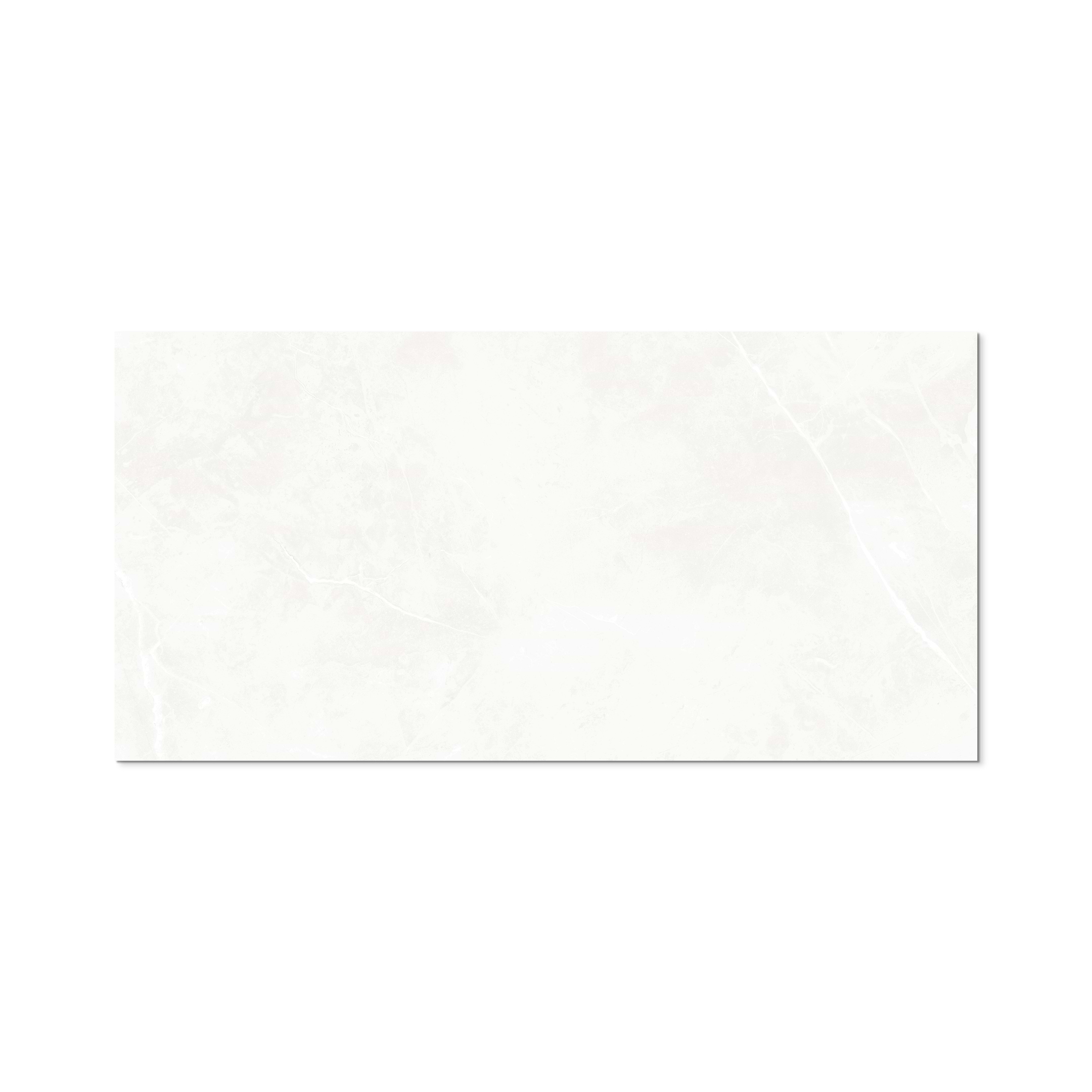 Puccini Blanco 24x48 Matte - Image 3