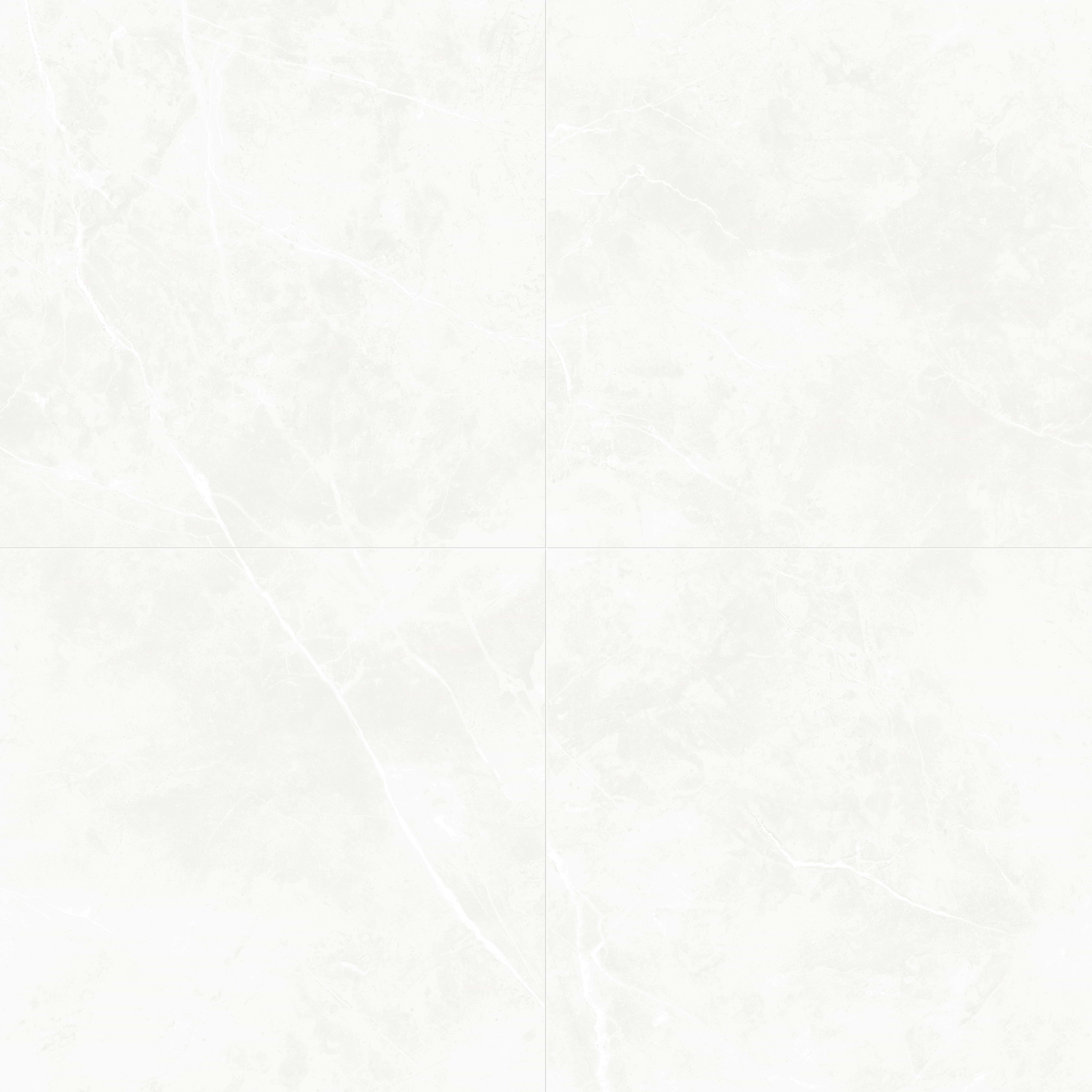 Puccini Blanco 48x48 Matte Porcelain Tile