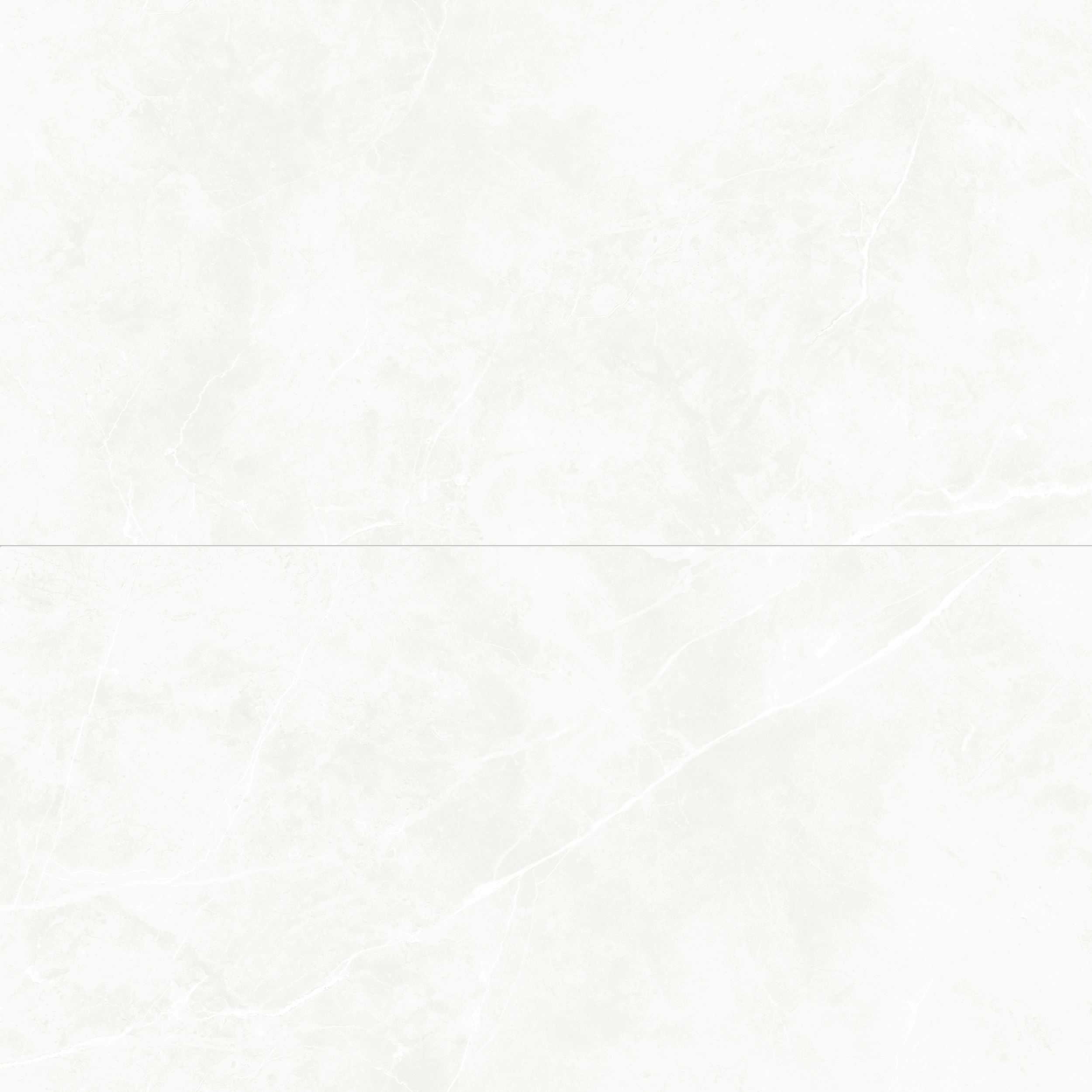 Puccini Blanco 24x48 Polished