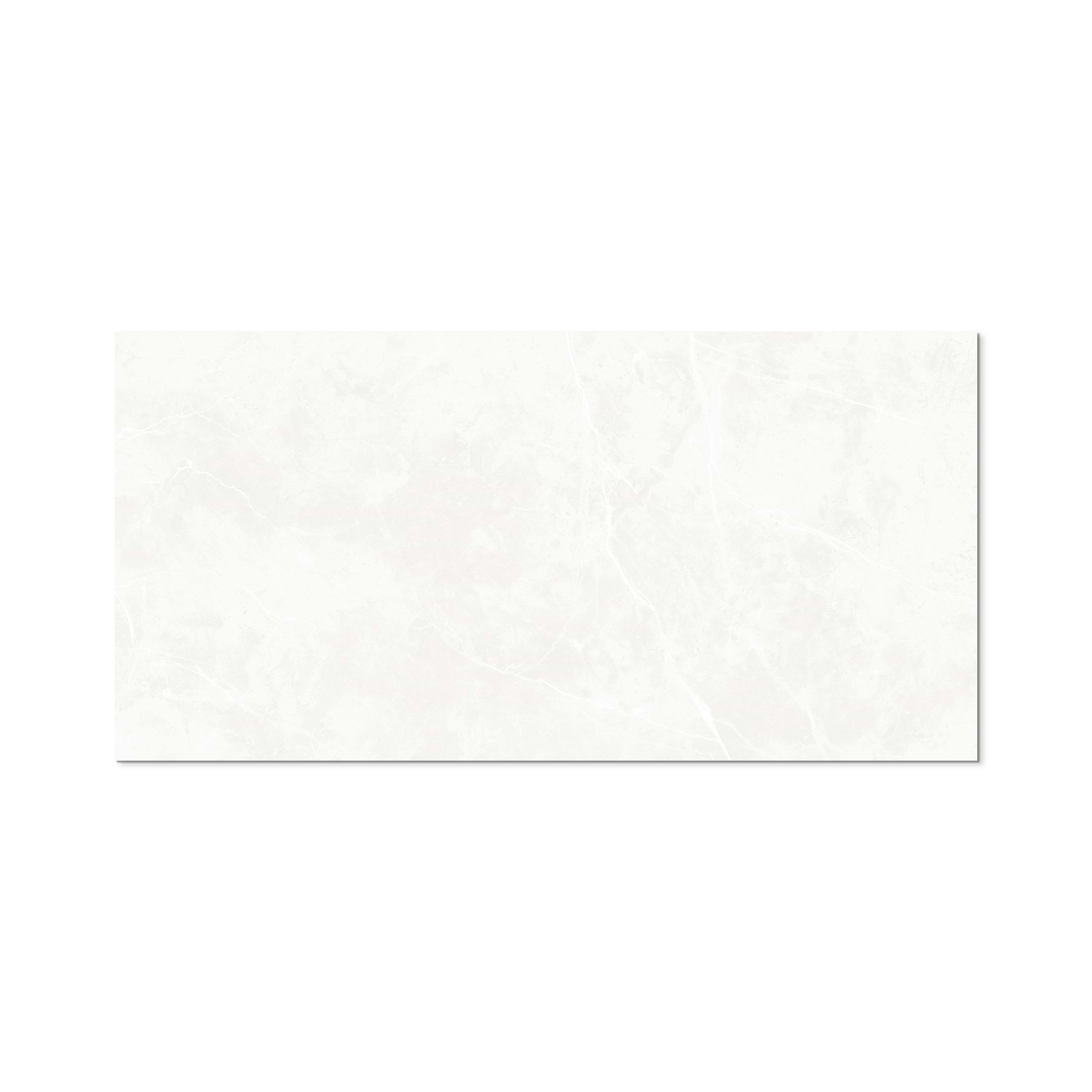 Puccini Blanco 24x48 Polished - Image 3
