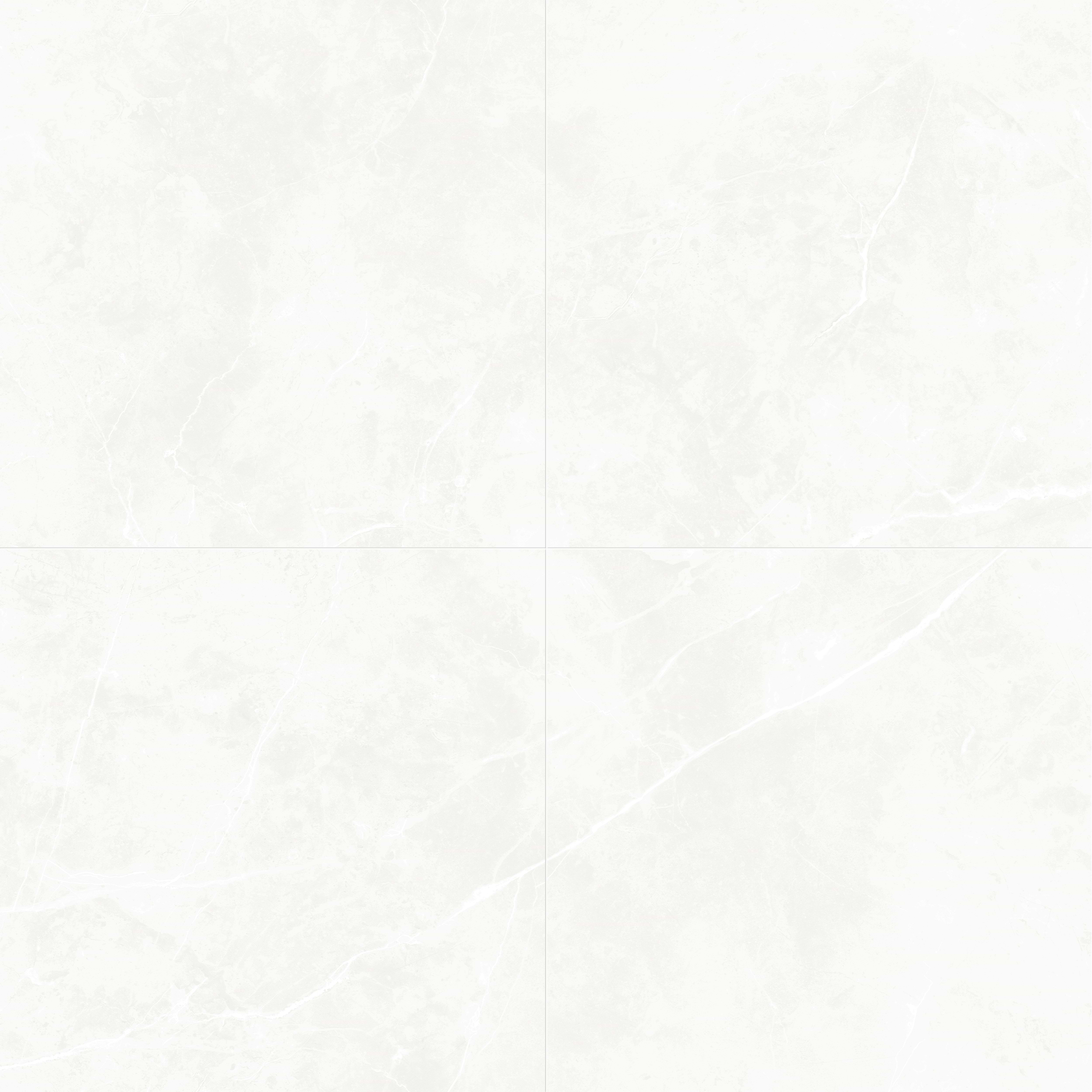 Puccini Blanco 48x48 Polished