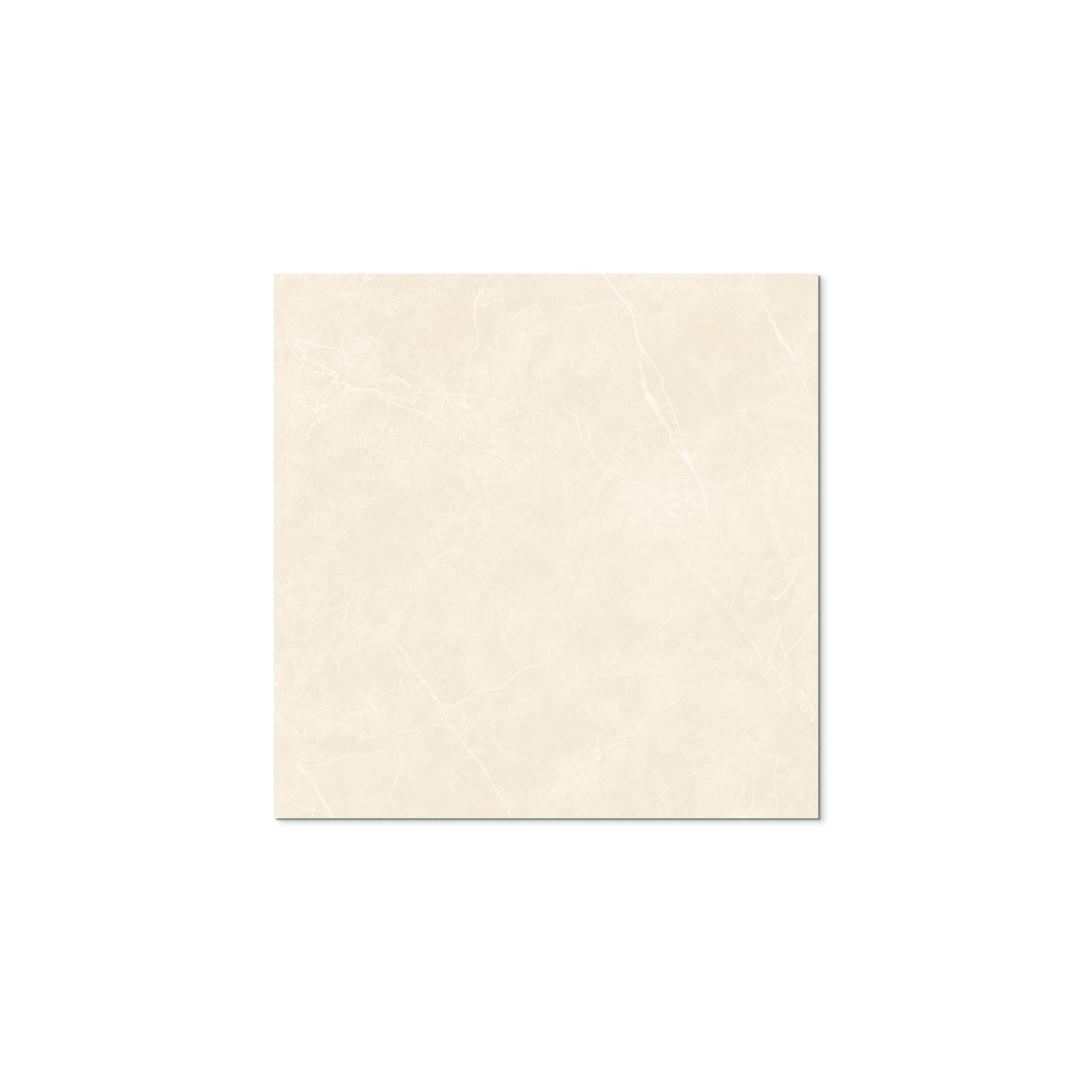 Puccini Marfil 36x36 Polished - Image 3