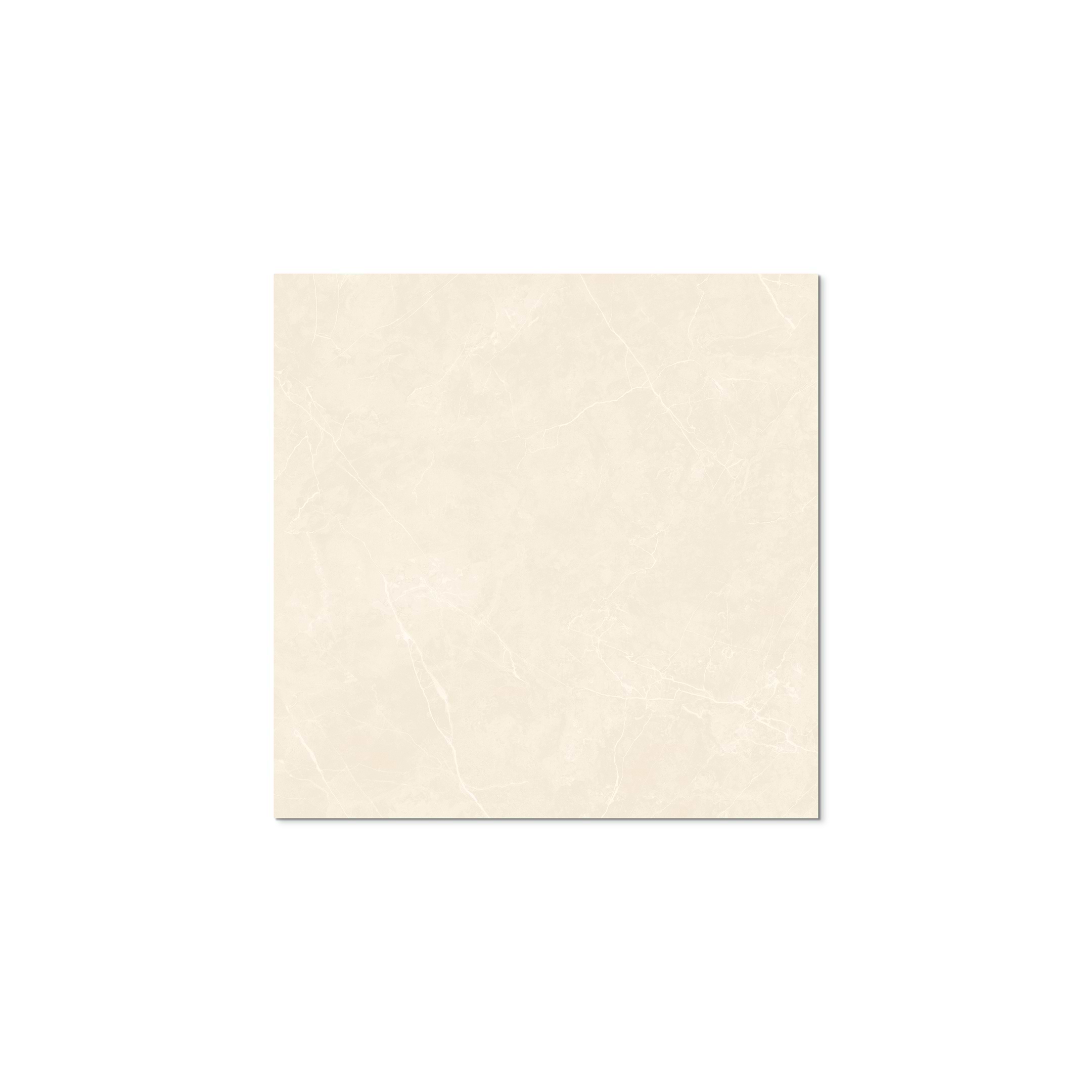Puccini Marfil 36x36 Matte - Image 3