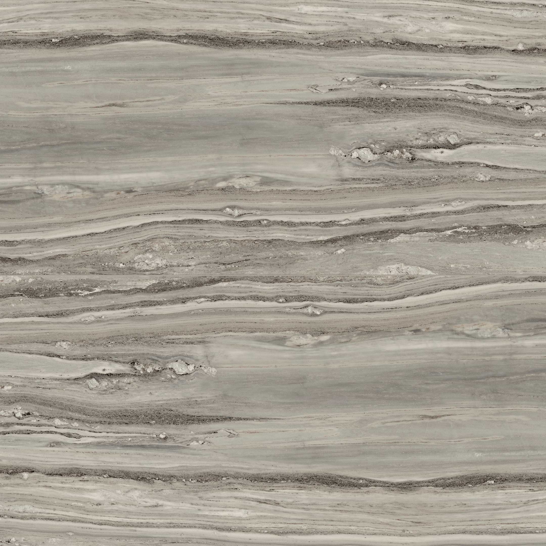Etoile De Rex Tropical 32x72 Polished Porcelain Tile
