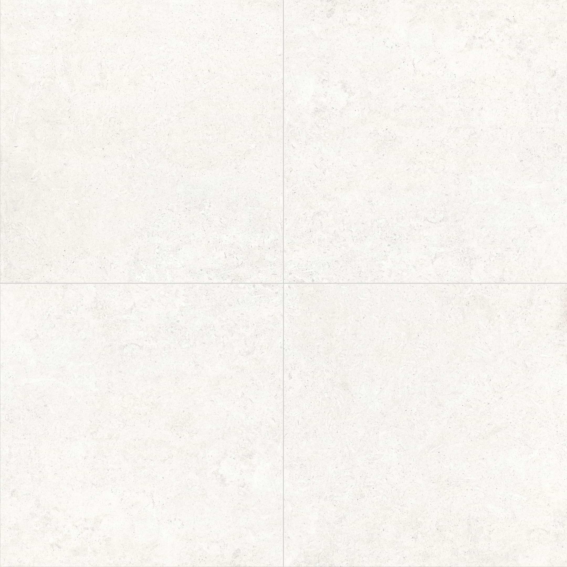 Kalkarea White 24x24 Matte