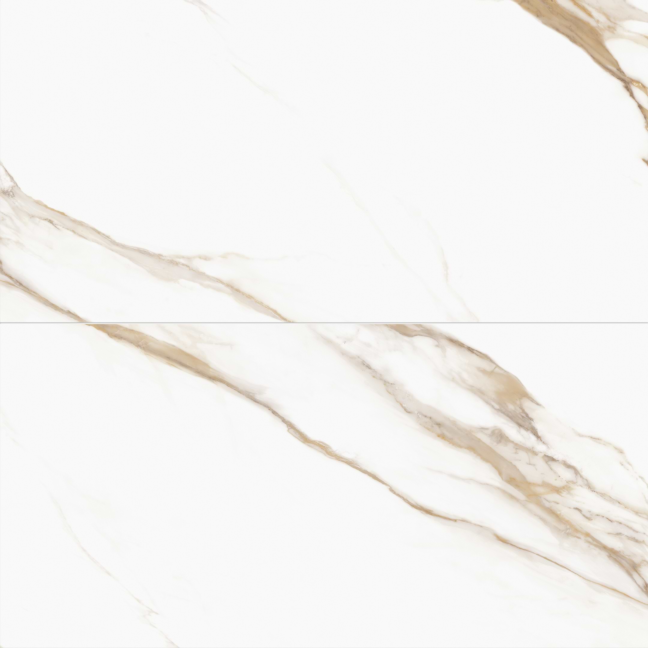 Prestigio Calacatta Oro 24x48 Matte Porcelain Tile