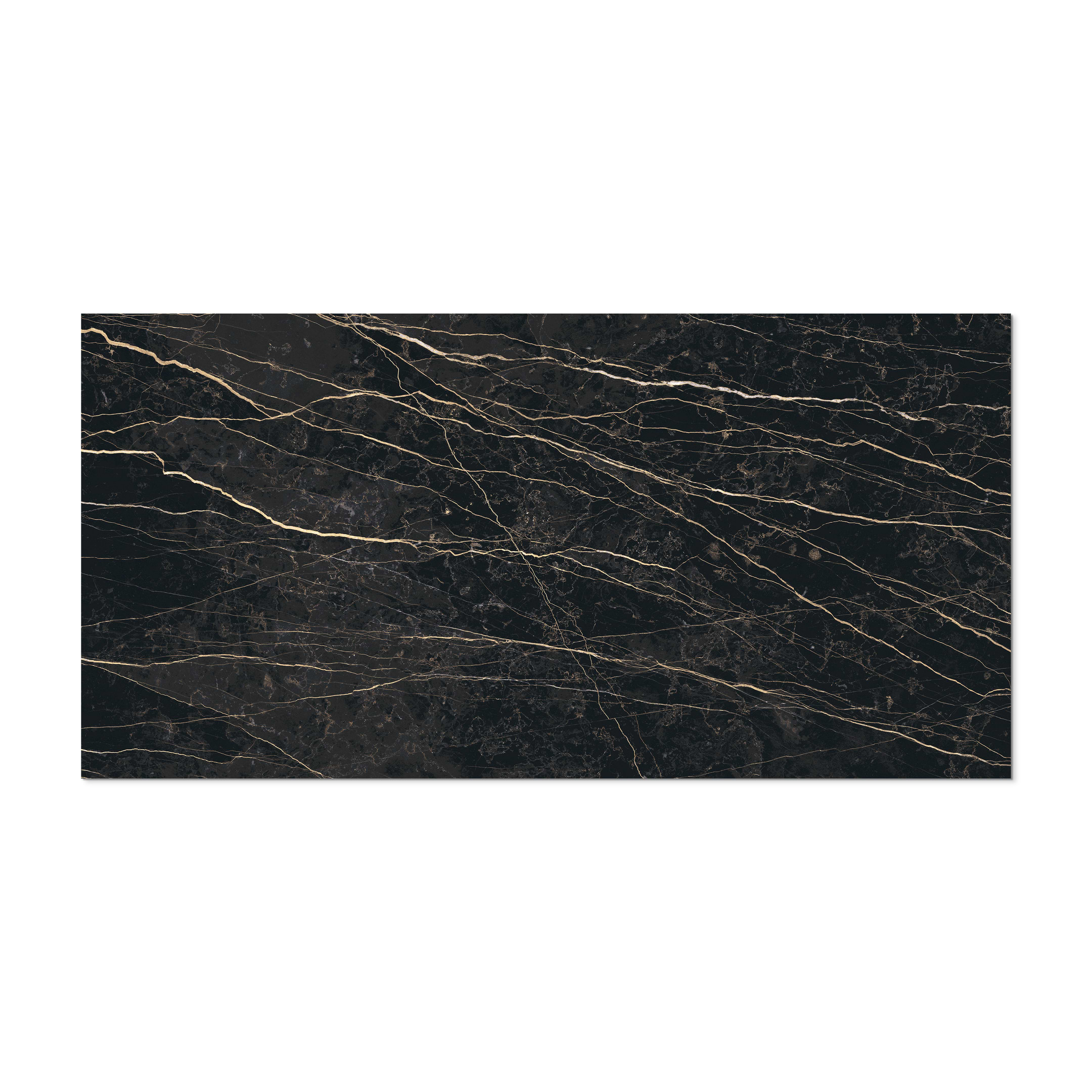 Prexious Of Rex Thunder Night 32x72 Polished Porcelain Tile - USA