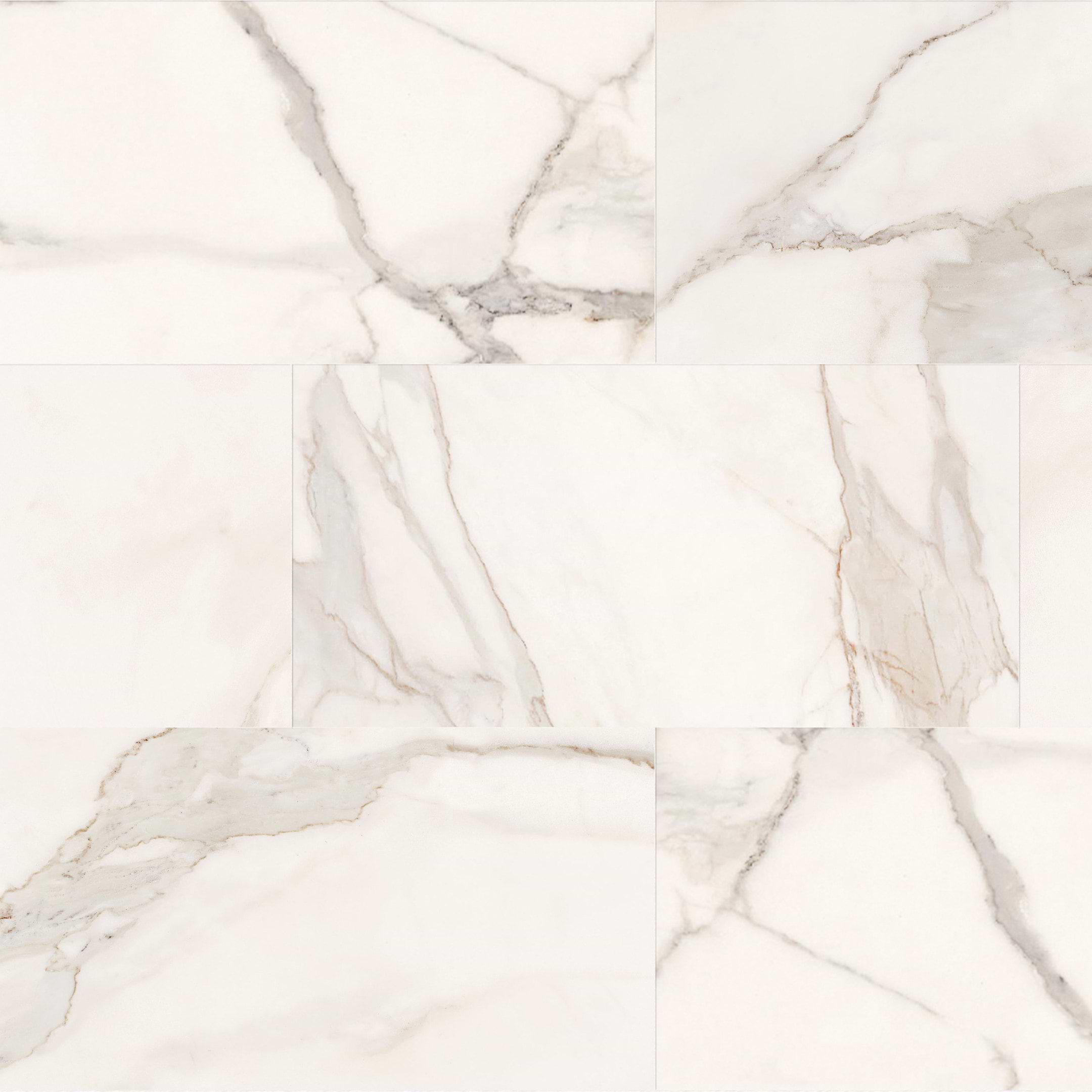 Purity Calacatta 12x24 Polished