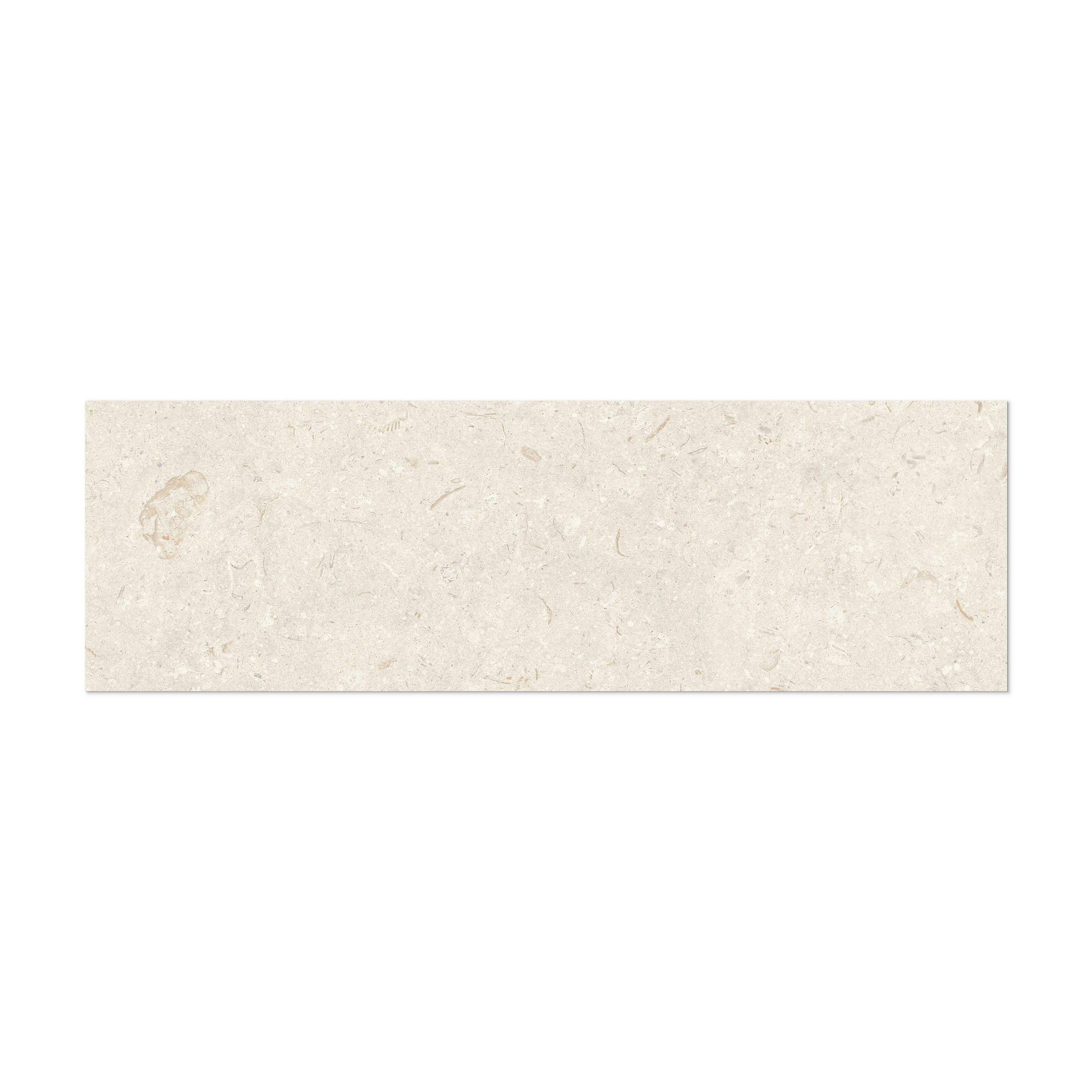 Fossil Bone Rectified 12x40 Ceramic Tile - Sample